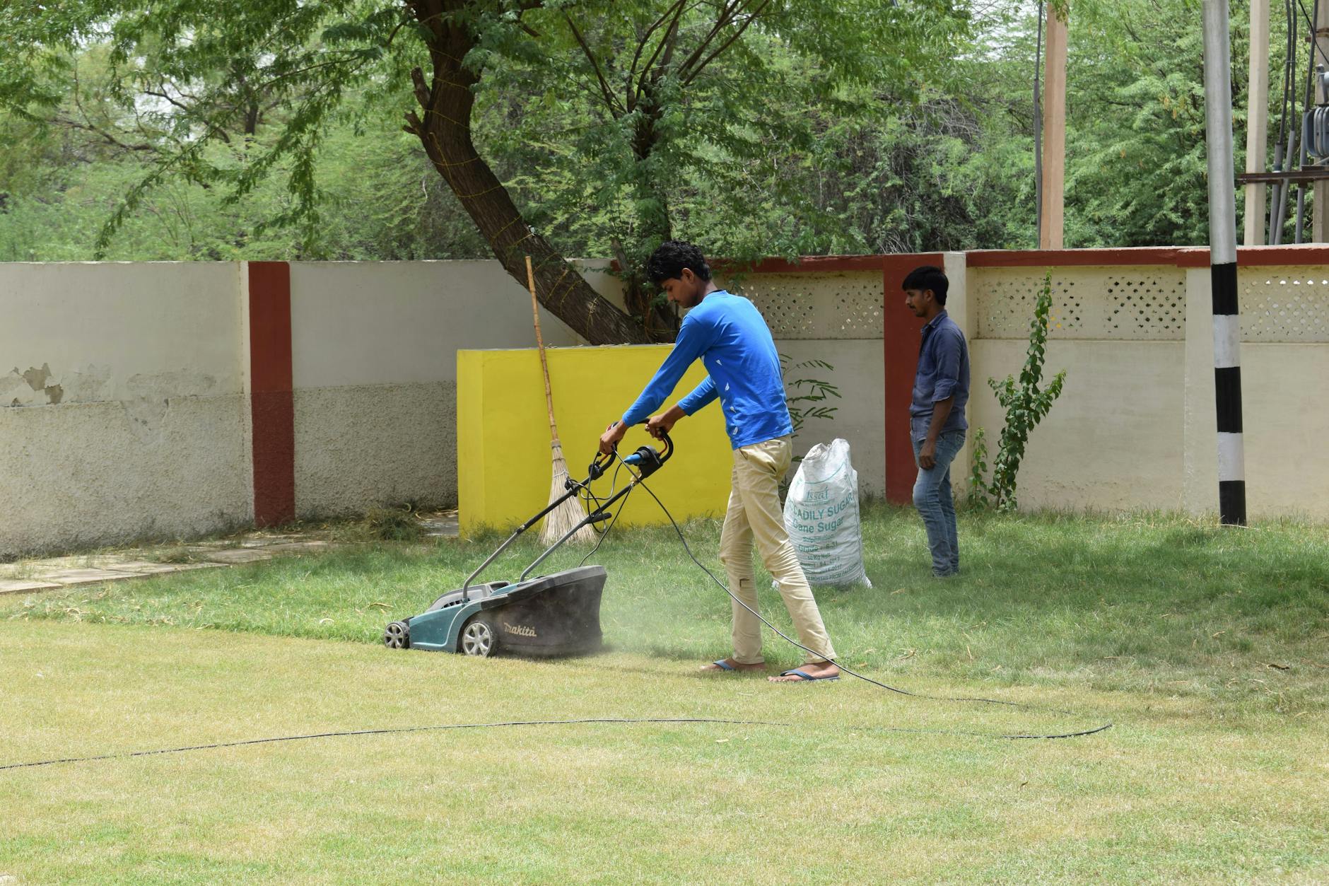Young people working together on lawn maintenance with professional equipment